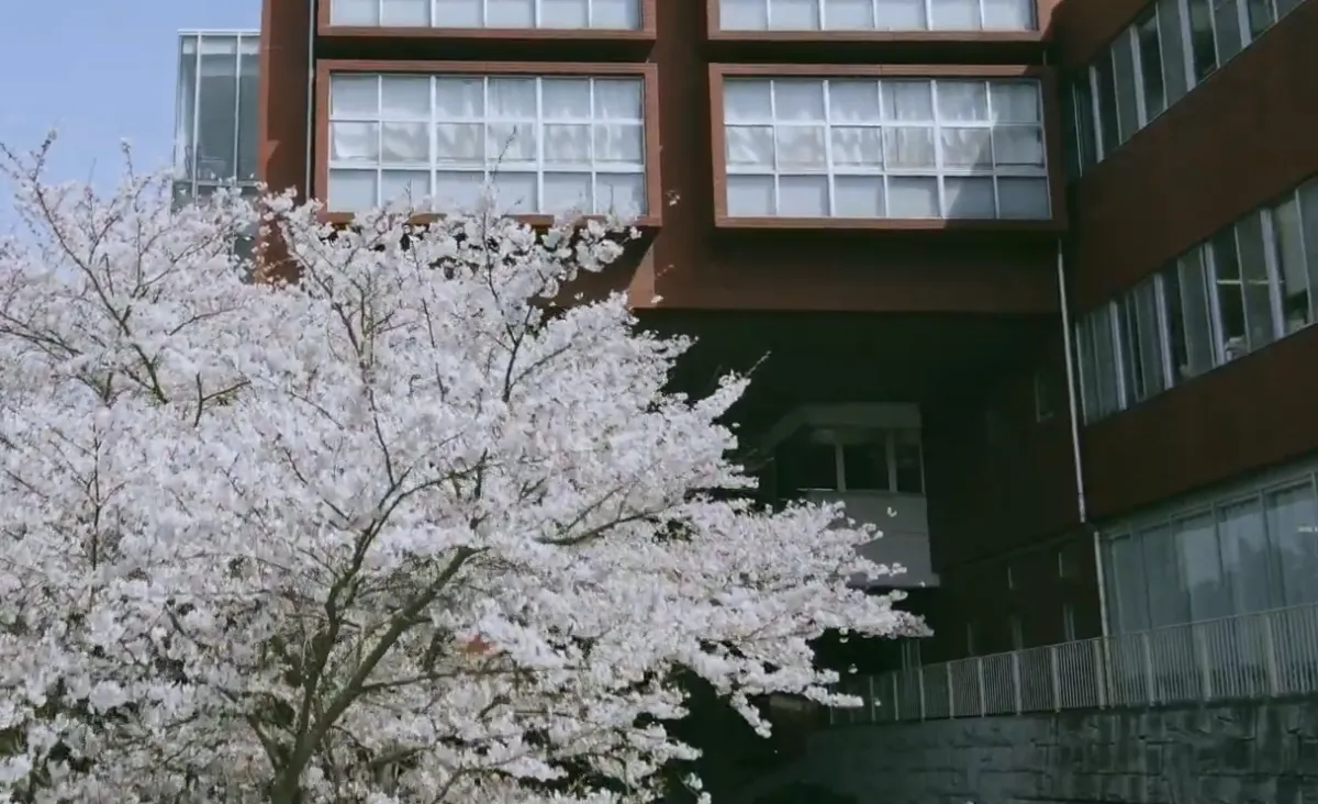 智弁和歌山の落ちこぼれは人生終了?進学ルートと現実