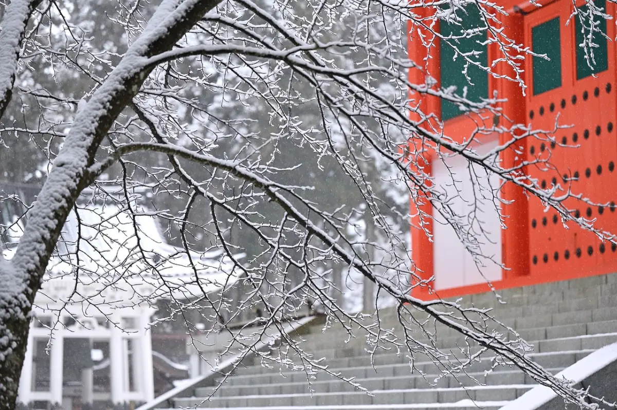 高野山に行ってはいけない？体調不良・危険性・宿坊を解説