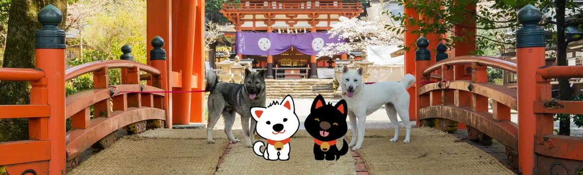 犬連れでの訪問は可能？知っておきたい楽しみ方