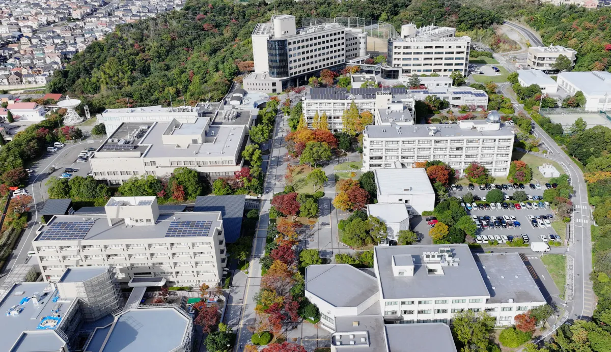 和歌山大学はFランで恥ずかしい?噂の正体を整理
